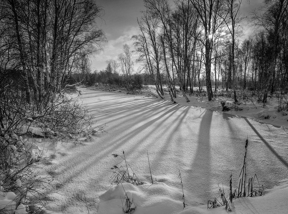 Photograph by Чичкин Валерий