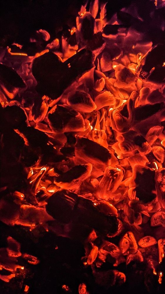 Фотография автора Васильева Ирина