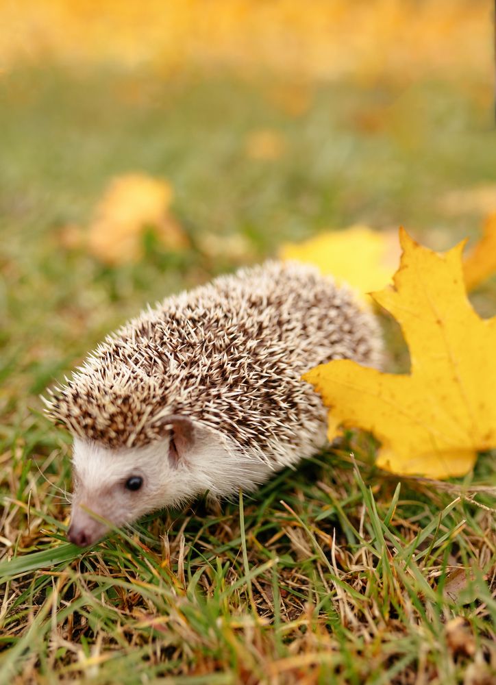 Photograph by Катерина Повидайко