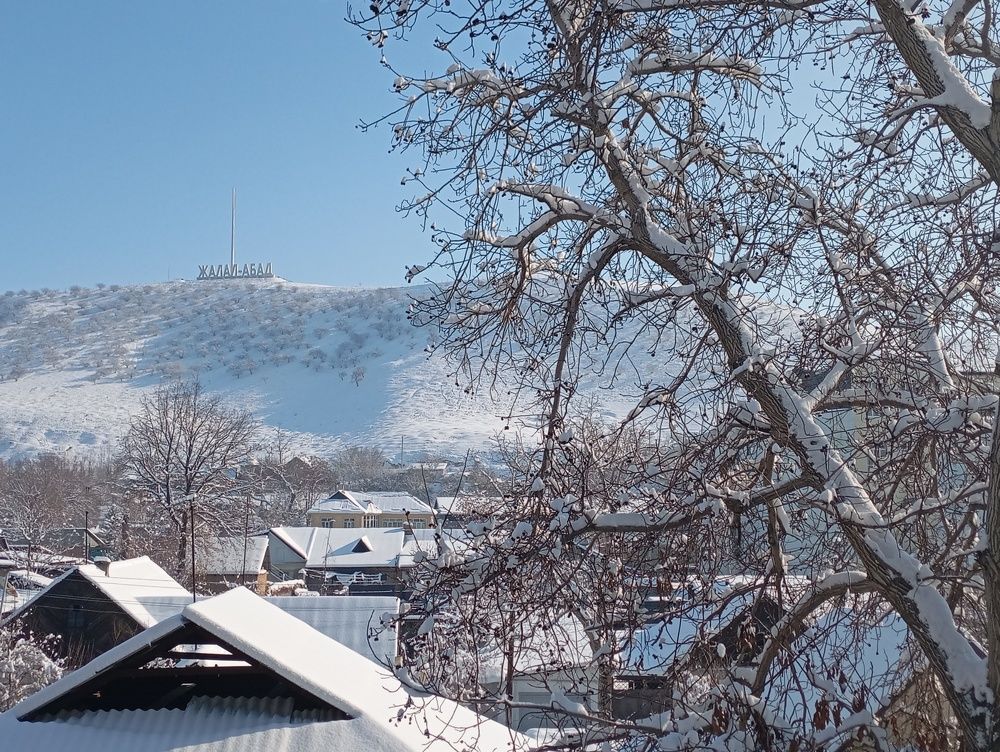 Photo #11499355