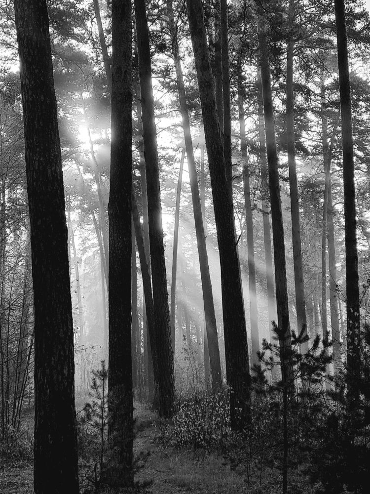 Фотография автора Игорь Казаченко