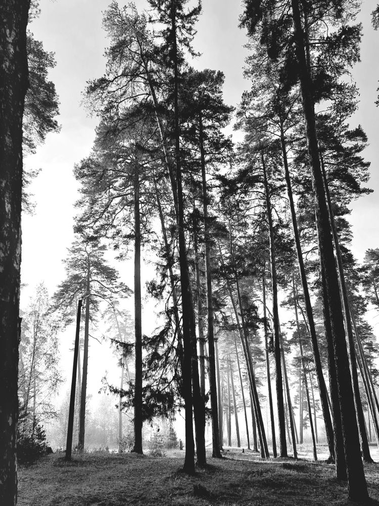 Фотография автора Игорь Казаченко