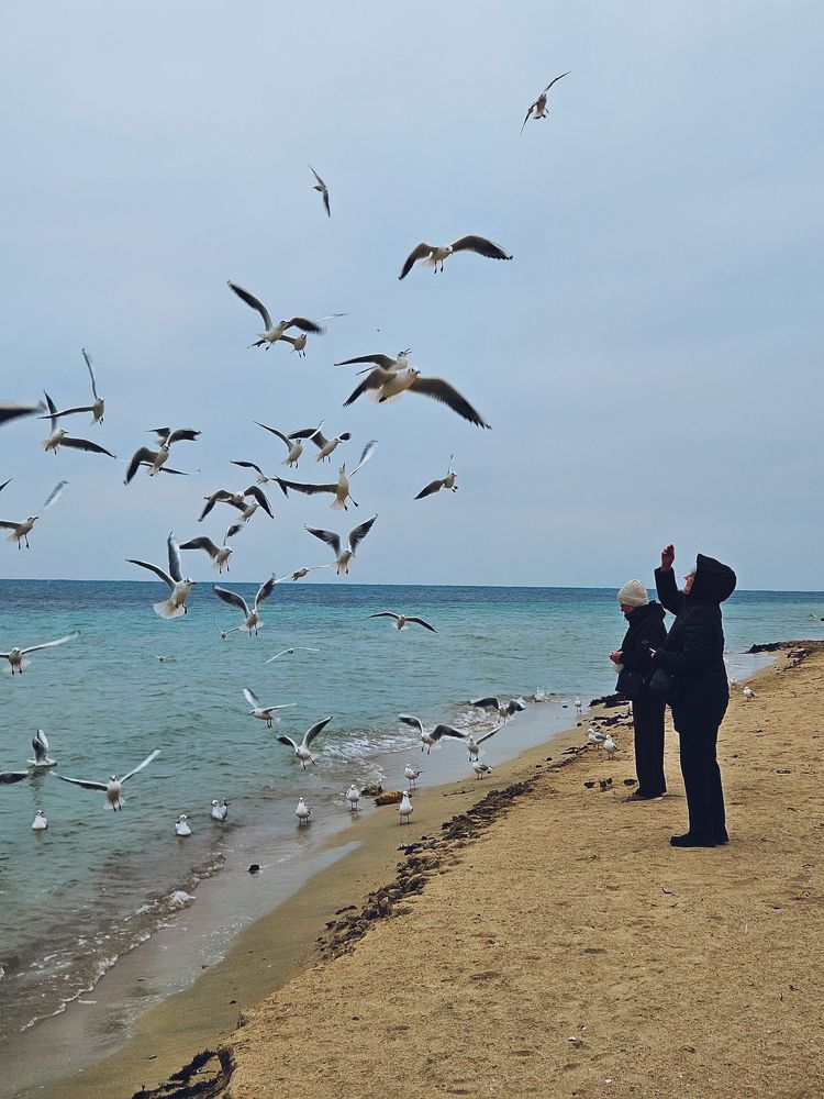 Photograph by ELENA KRYLOVA