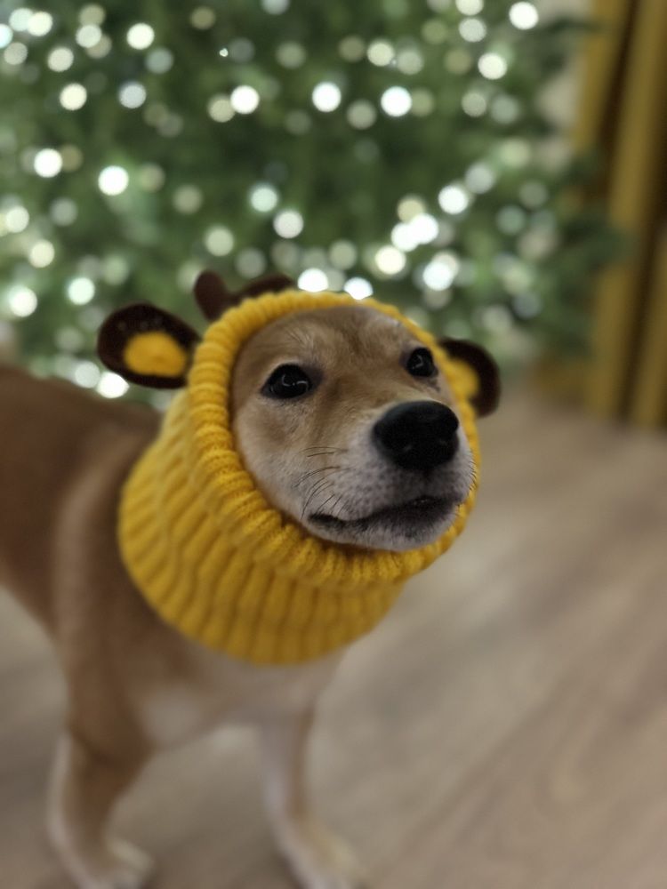 Photograph by Ксения Юртаева