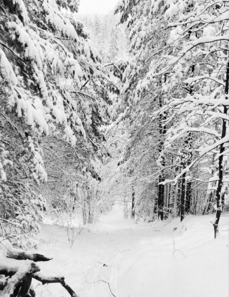 Photograph by Maria Stankevich