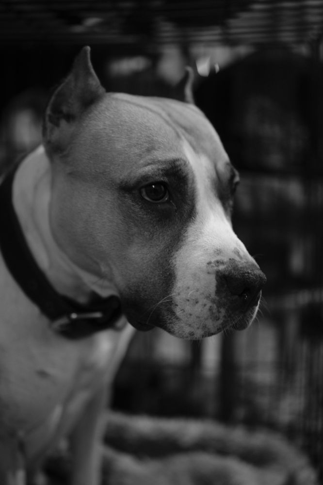 Photograph by Бехтерев Вадим