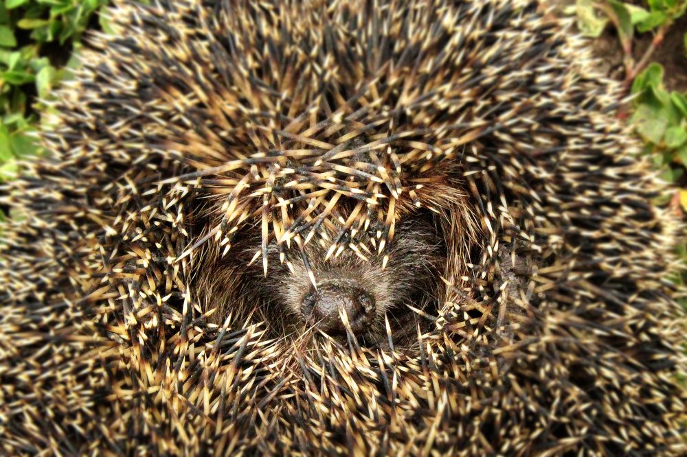 Photograph by Vitaliy Saposhnikov