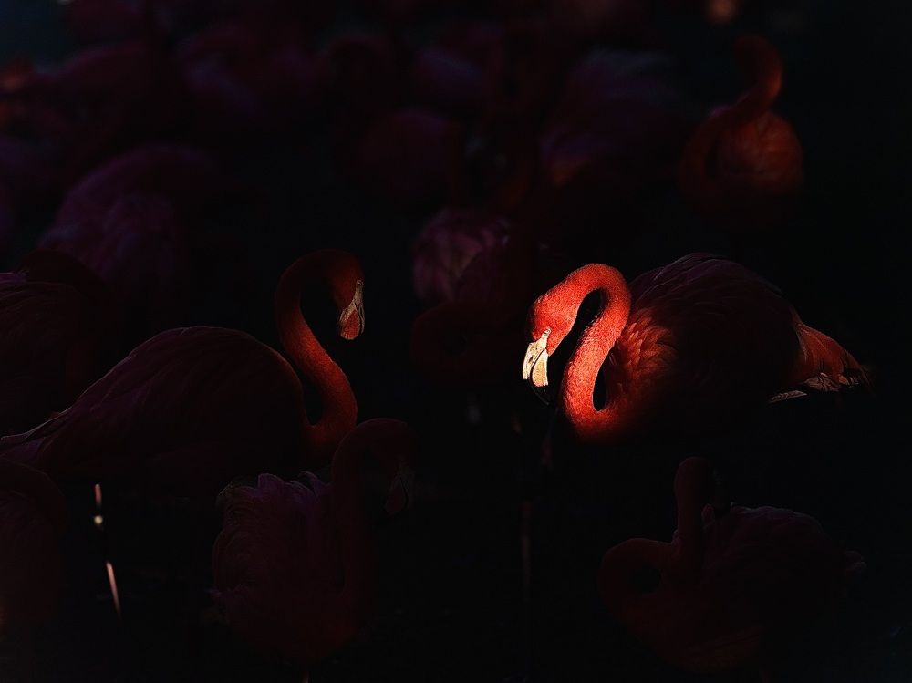 Фотография автора Jitesh Shivakumar