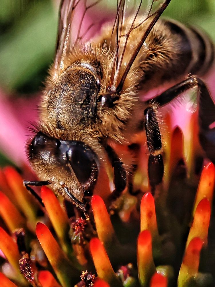 Photograph by Anastasia Malyukova