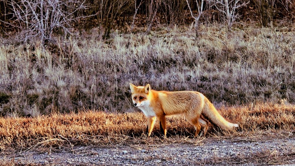 Photograph by Наталья Анисимова
