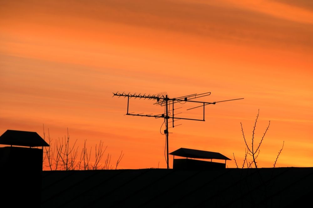 Photograph by Дария Ризниченко