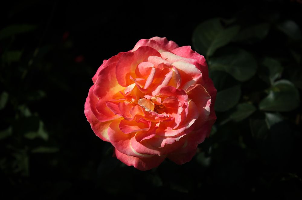 Фотография автора Азамат Искужинов