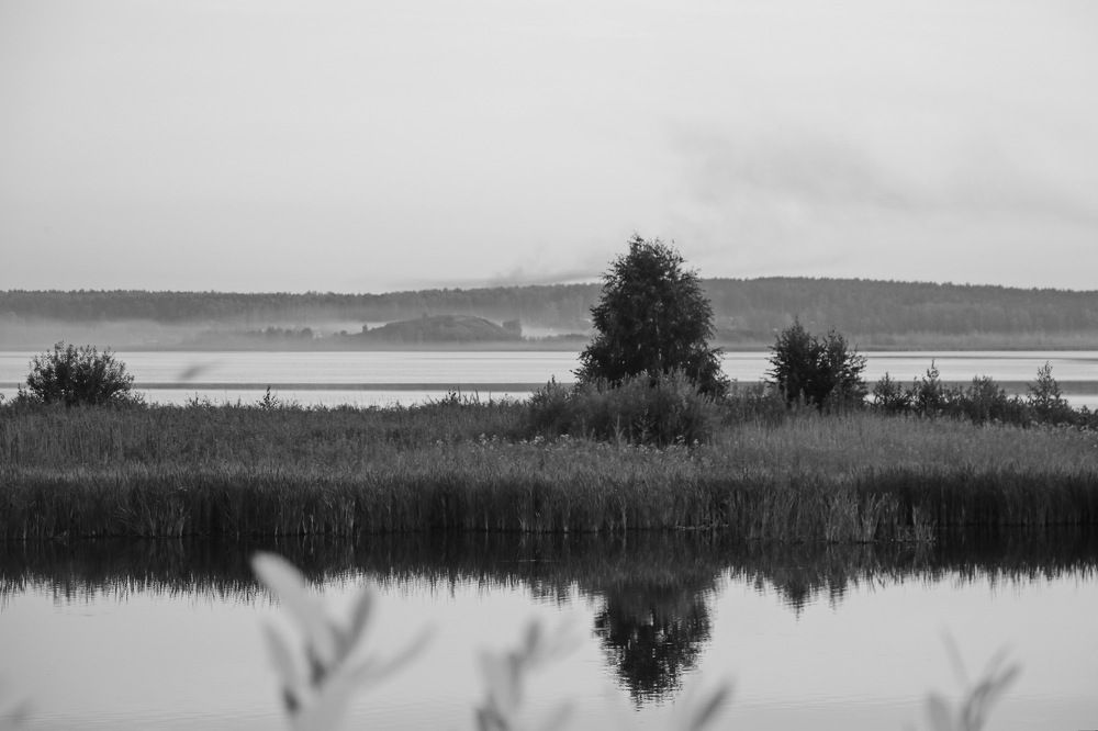 Photograph by Виталий Черепенькин