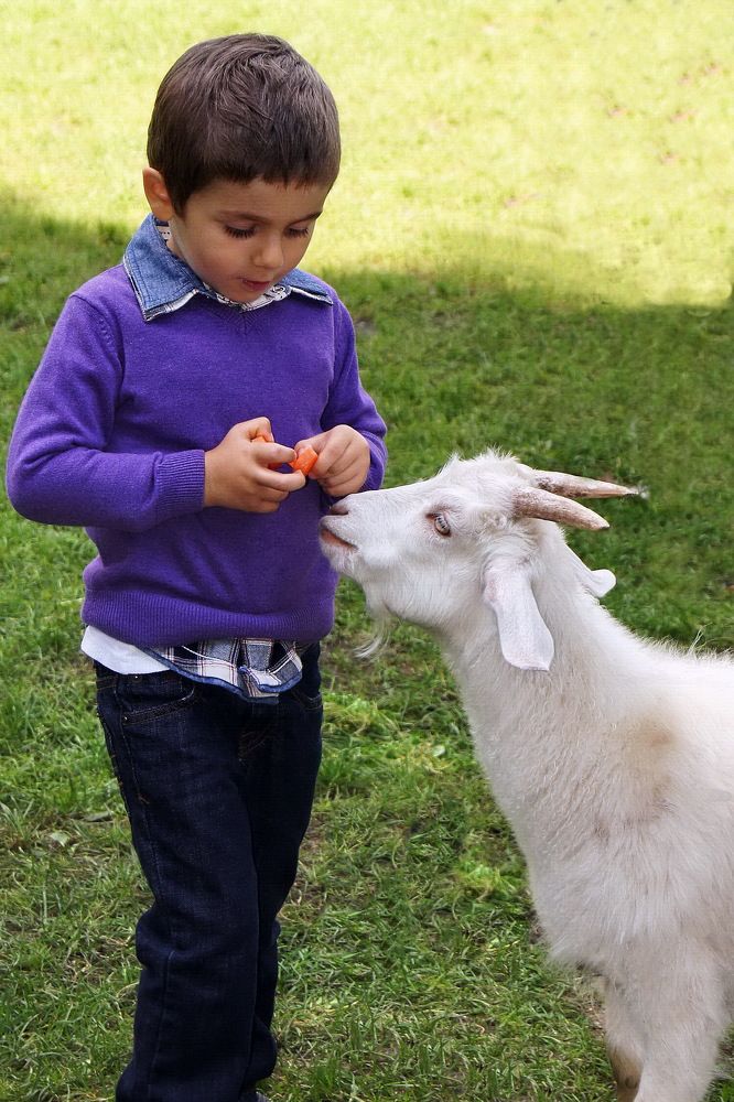 Photograph by Ирина Кухарчук