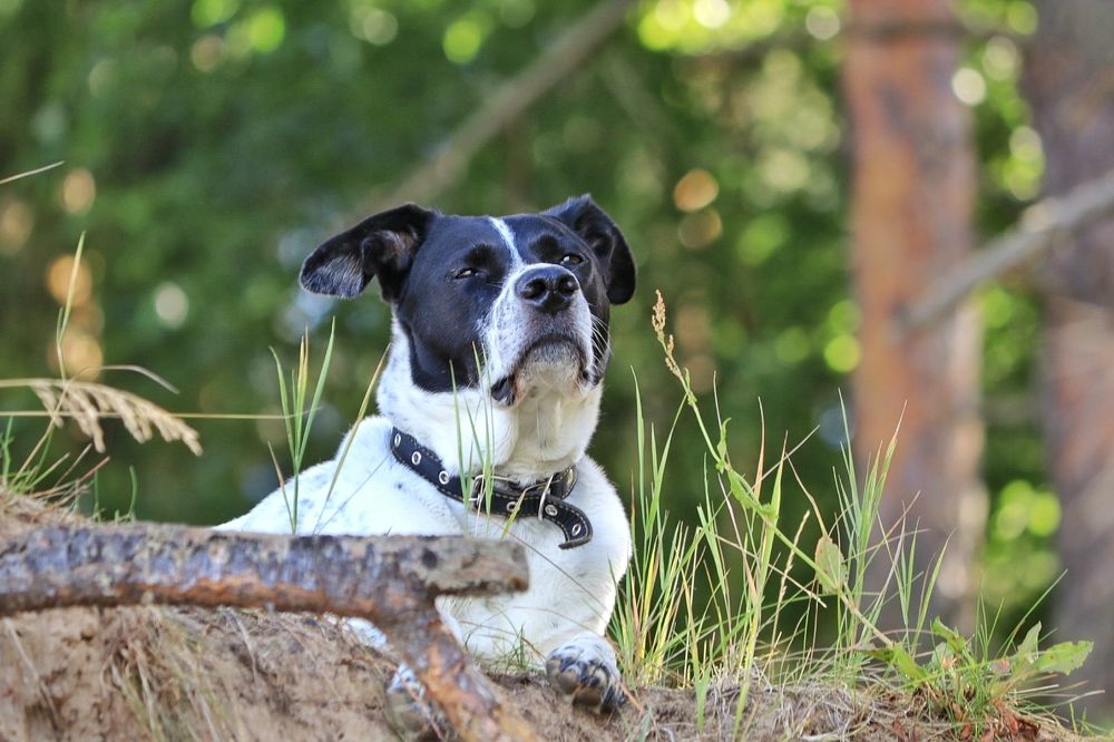 Photograph by Николай Круглов