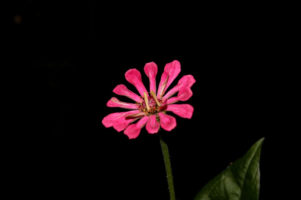 Фотография автора Азамат Искужинов