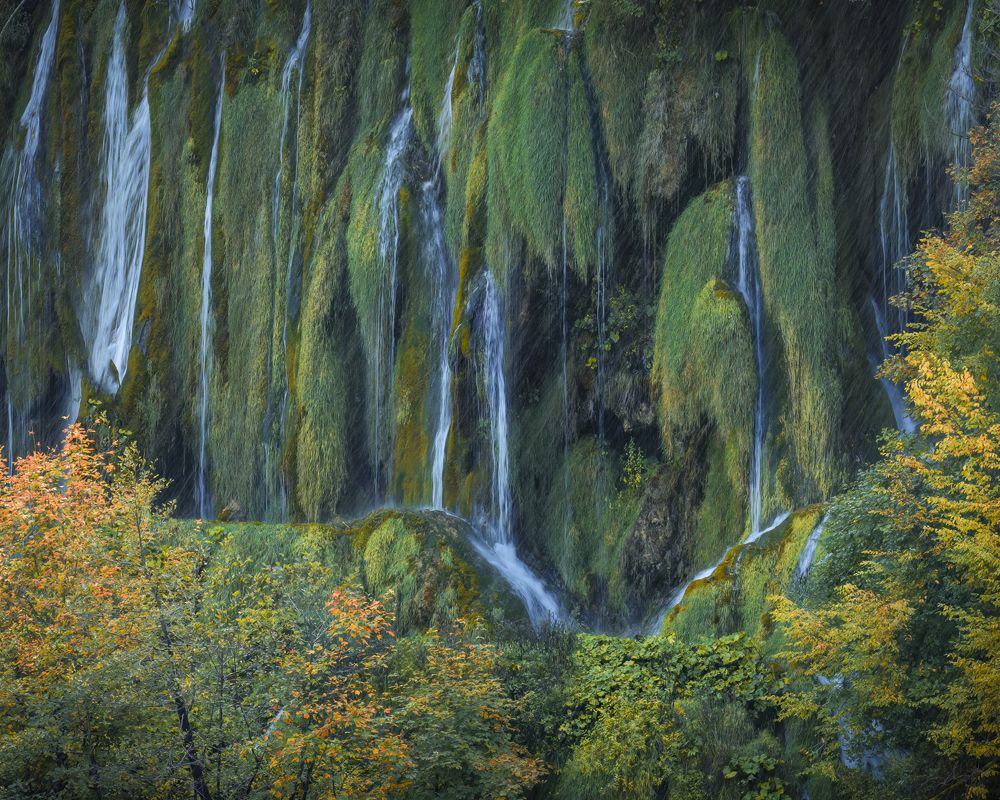 Фотография автора Jay Mason