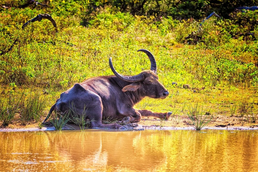 Photograph by Сергей Аллагулов