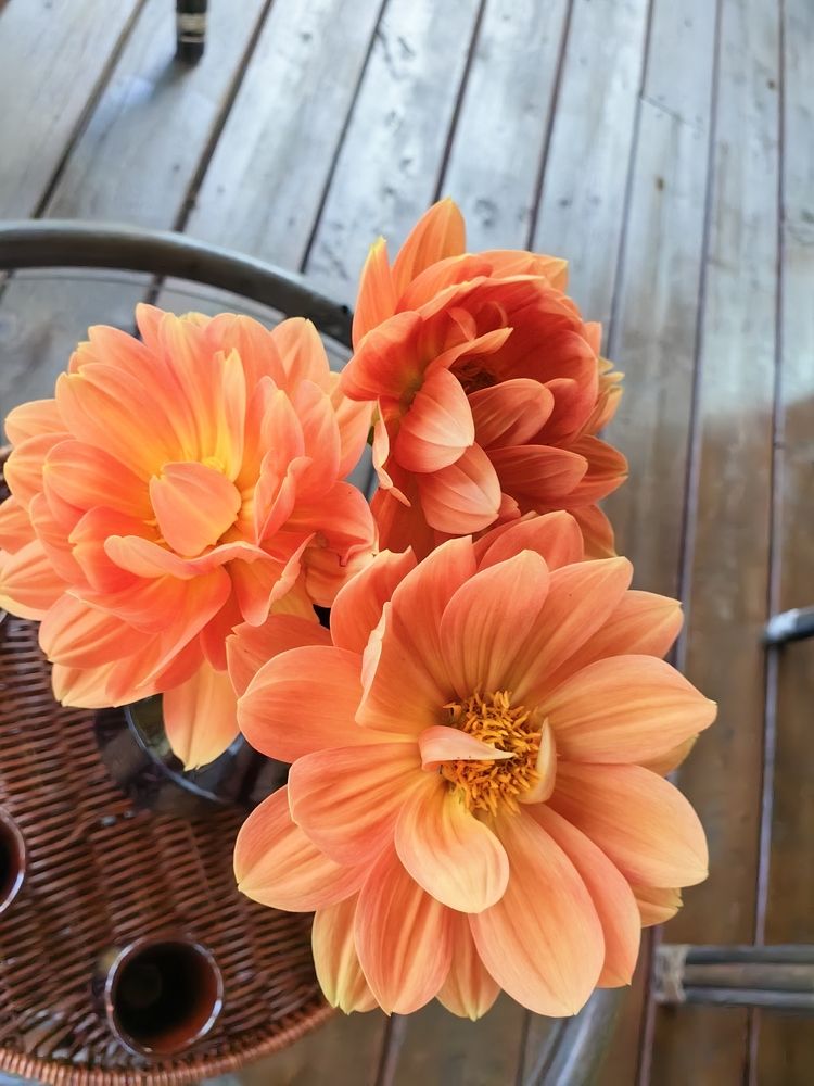 Photograph by Светлана Зыкова