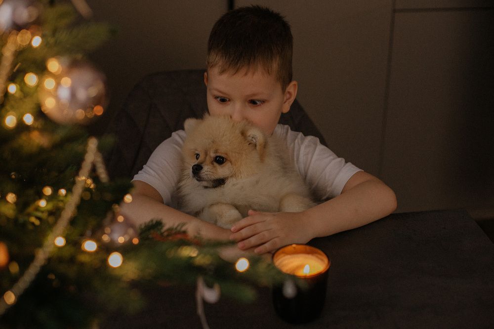 Фотография автора Ксения Кербер