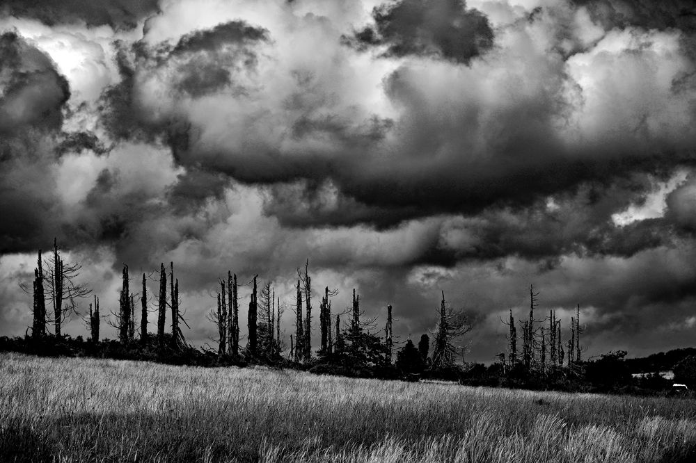 Фотография автора YANN JACOB