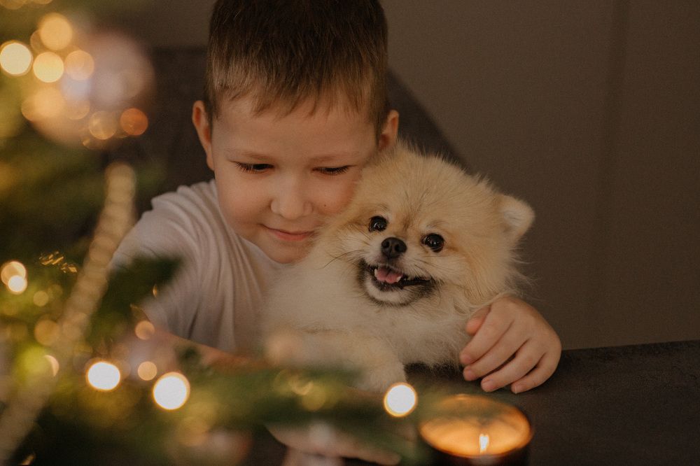 Фотография автора Ксения Кербер