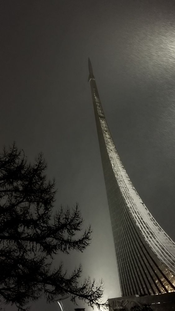 Photo #11499733