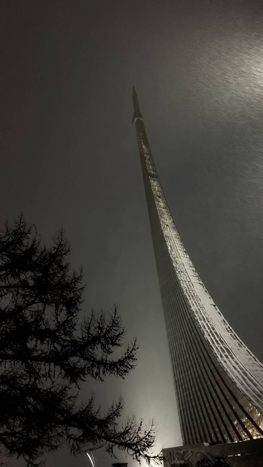 Photo #11499733