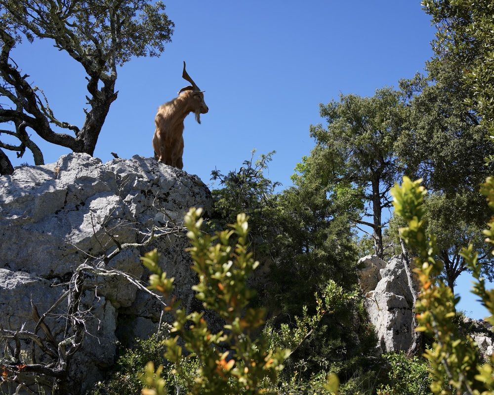 Photograph by Marina Odintsova