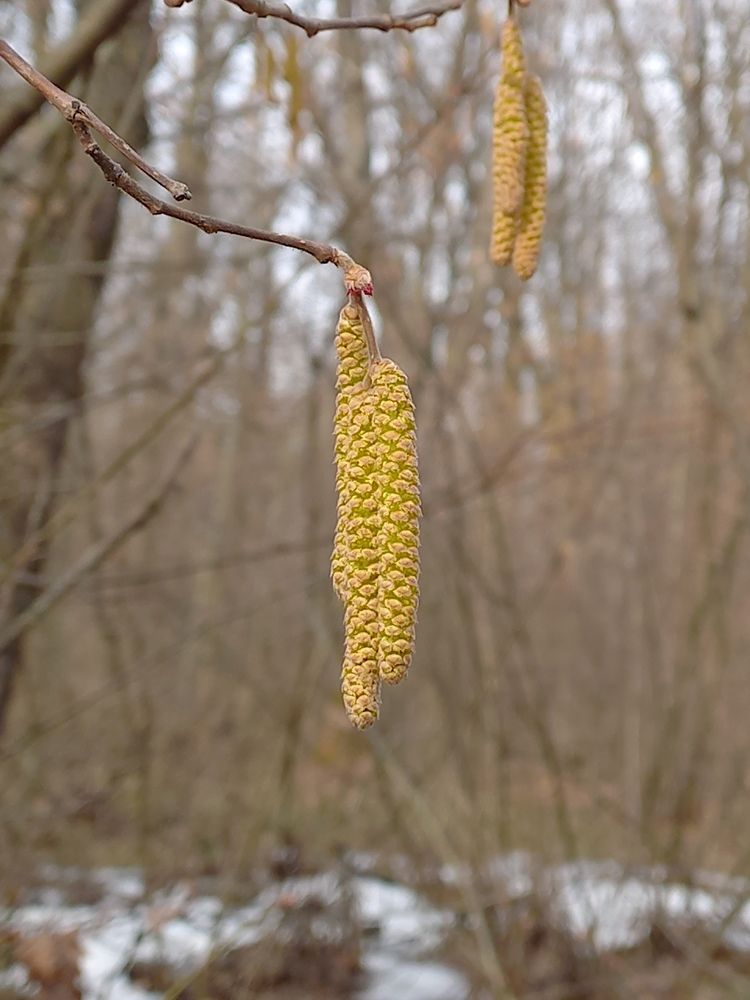 Photograph by Людмила Сотникова