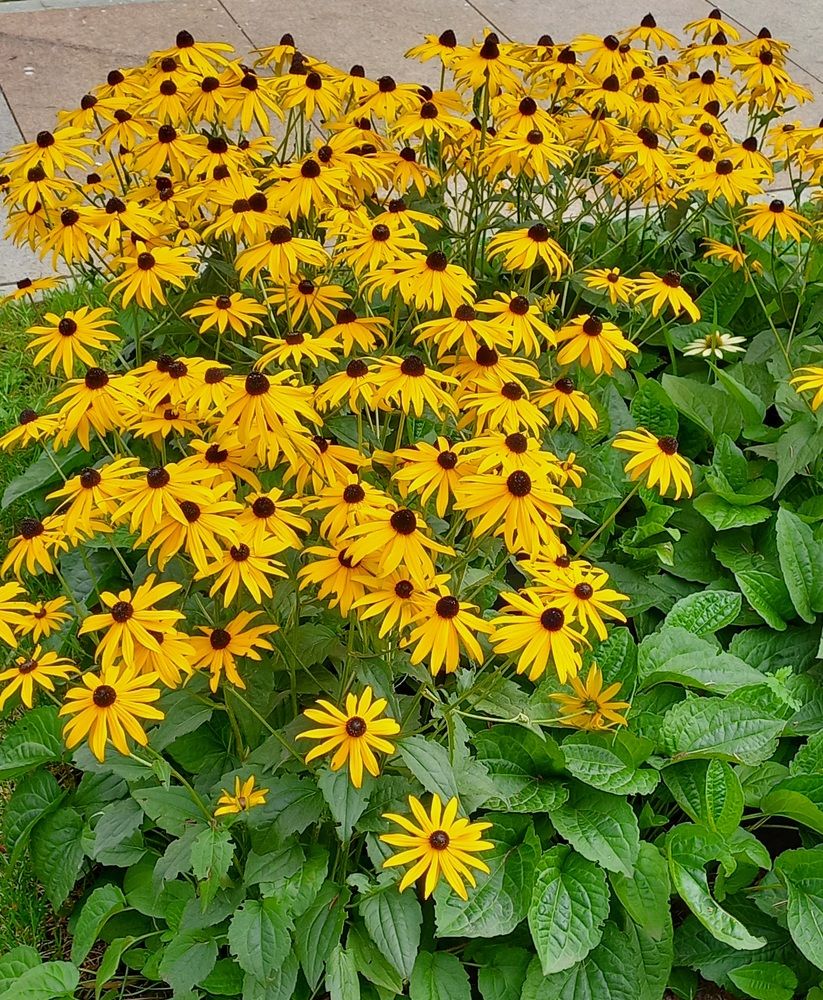 Photograph by Людмила Сотникова