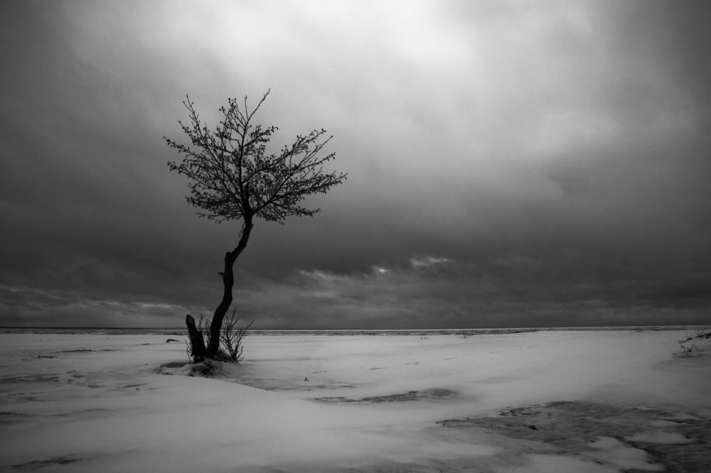 Photograph by Крицак Ольга