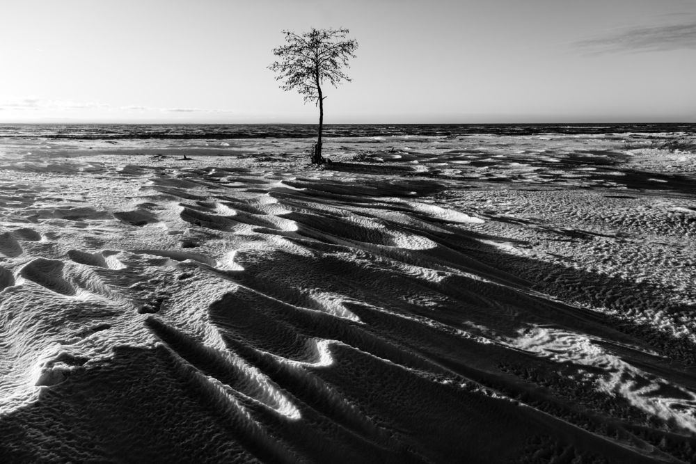 Photograph by Крицак Ольга