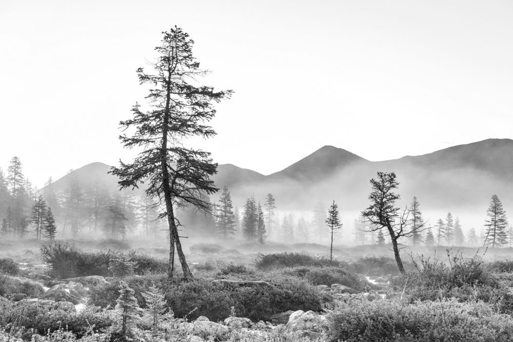 Photograph by Крицак Ольга