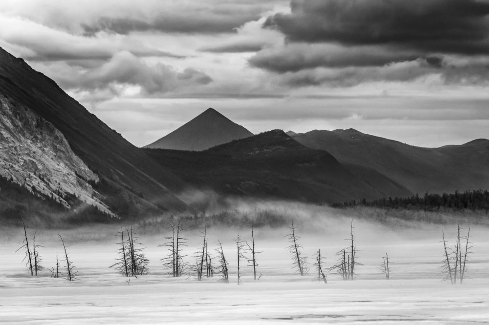 Photograph by Ольга Крицак