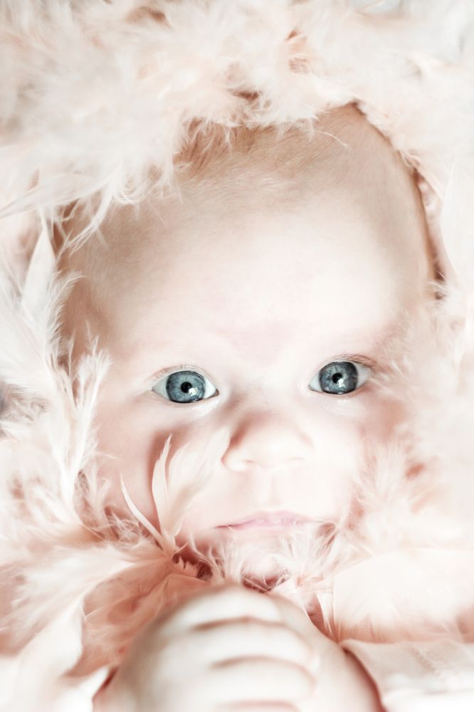 Фотография автора Алиса Исаева