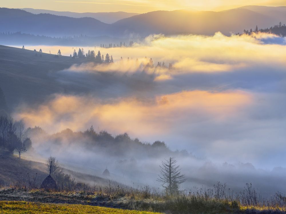 Photograph by Крицак Ольга