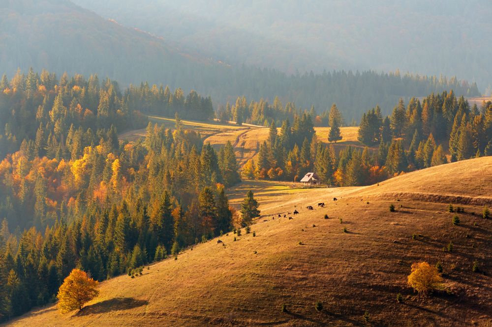 Photograph by Крицак Ольга