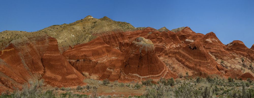 Photograph by Тамара Андреева