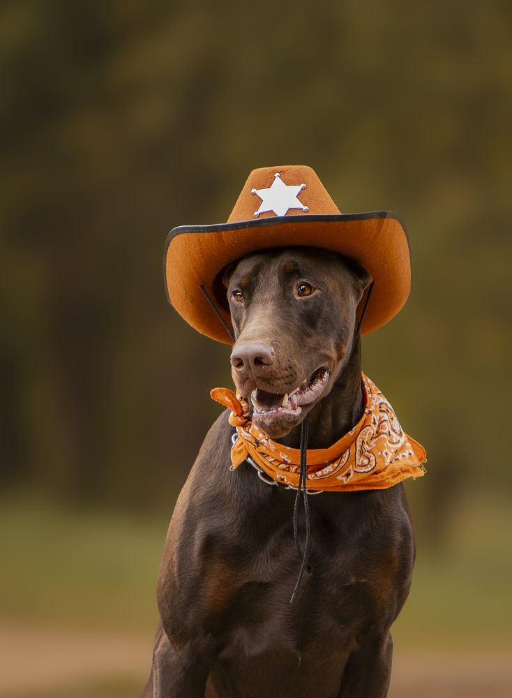 Photograph by Мария Клещенко