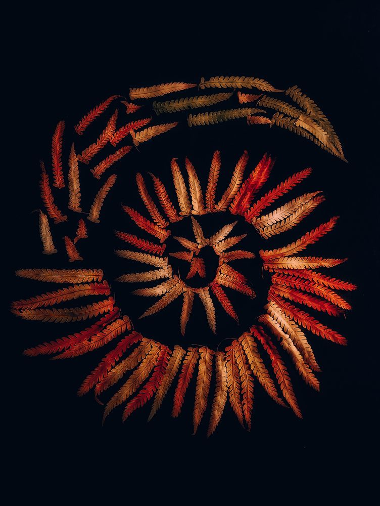 Photograph by Тараненко Анжелика