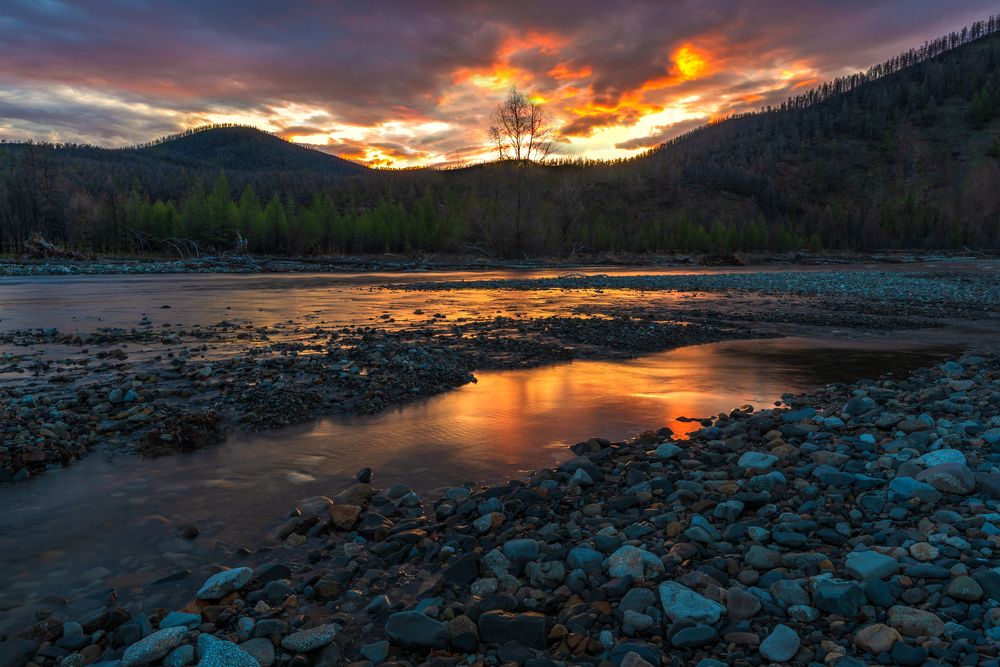 Photograph by Крицак Ольга