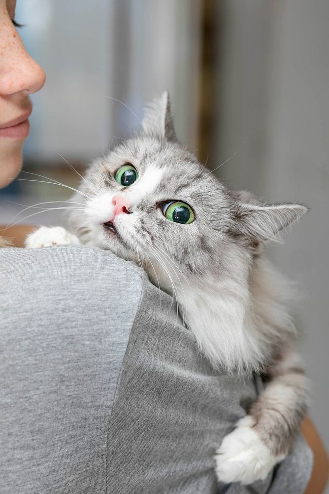 Photograph by Инна Баевская