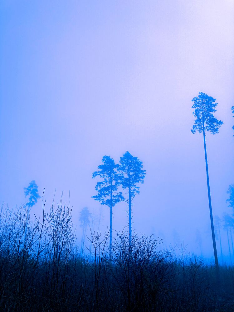 Photograph by Владислав Русанов