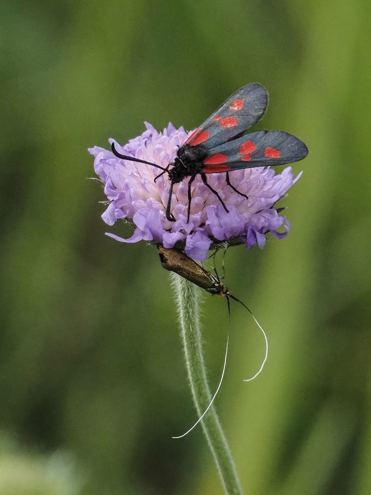 Photograph by Духанин Сергей