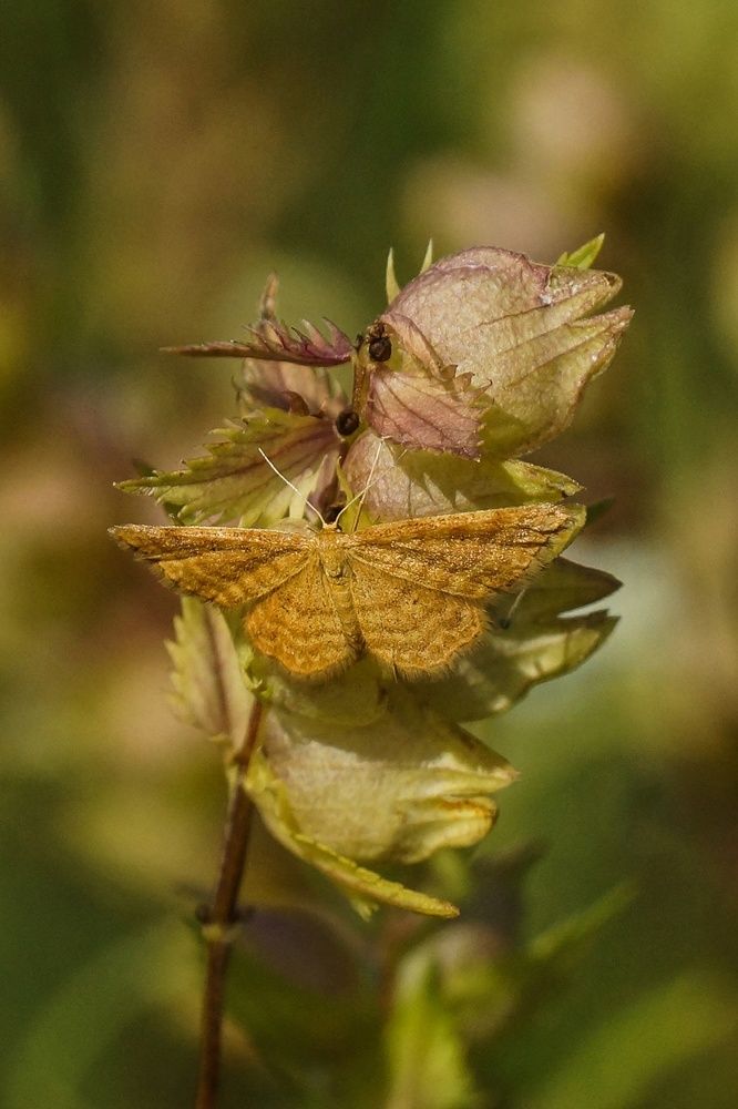 Photograph by Духанин Сергей