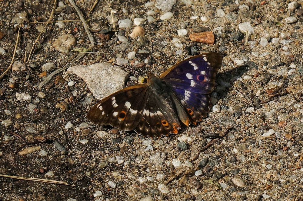 Photograph by Духанин Сергей