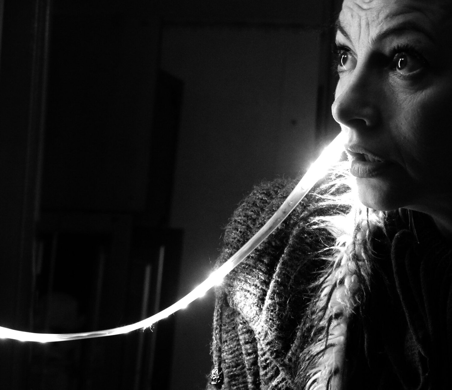 Following the smell of light (На запах света)