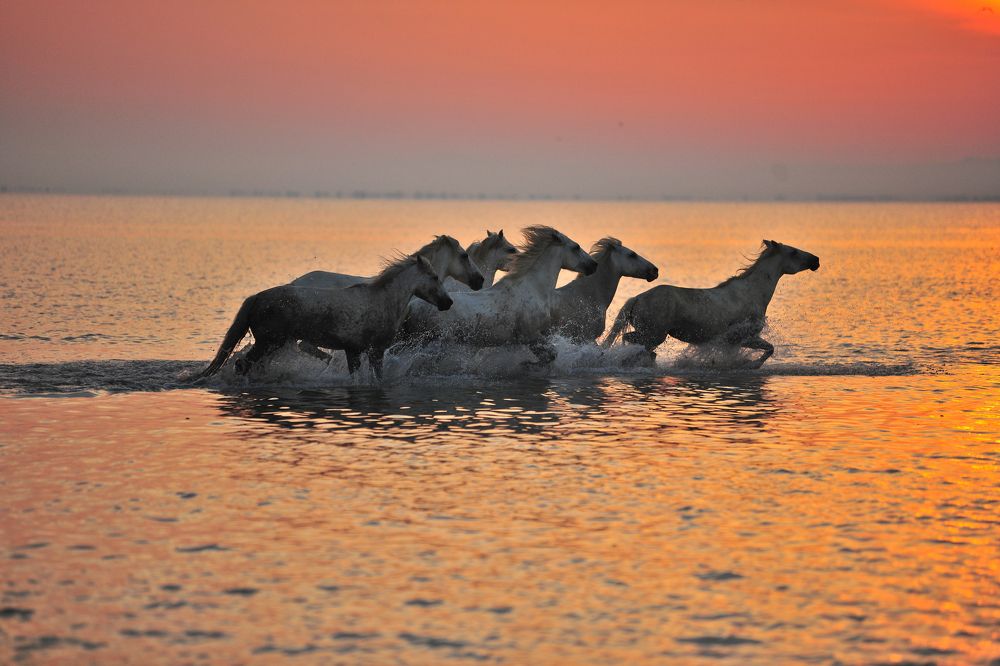 Photograph by Marijan Vučič