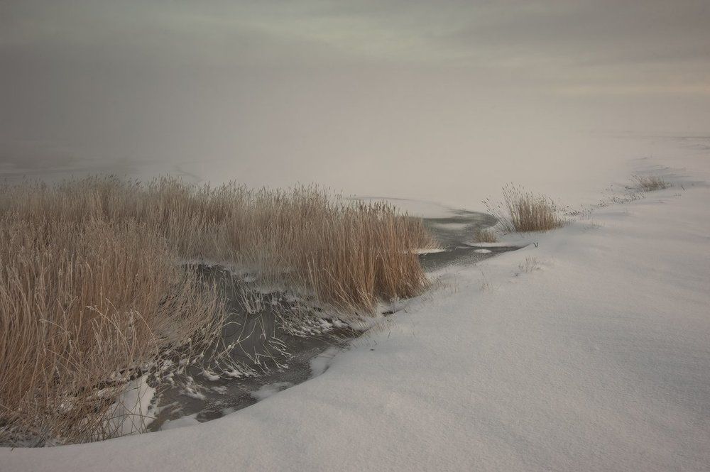 Утренний туман